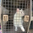 삼척시동물보호센터 동물병원 이미지