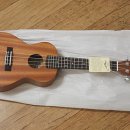 마음 힐링 우쿨렐레 | 우쿨렐레지도사로 주부 일자리 구했어요