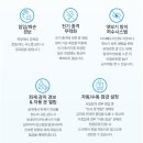 청학로132번길 이미지