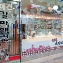 갈마애견 네이버블로그
