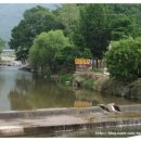 쉴만한물가 민박 이미지