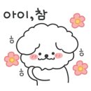 미다스펫 이미지