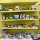 달리포유 이미지