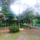 금산초병설유치원 이미지