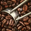 바리스타(오전) 이미지