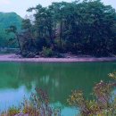 솔밭사이로 이미지