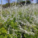 장자호수길 이미지