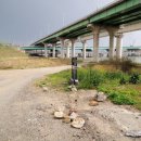 성암동패총 이미지