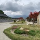 악양 평사리길 이미지