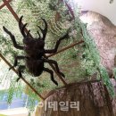 온천중앙로 이미지