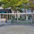 청량초교 이미지