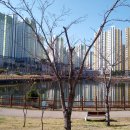 웅천북4로 Daum카페