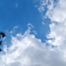 동헌농장 이미지