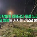 태국 드럼통 살인사건 약을 먹이고 납치 이미지