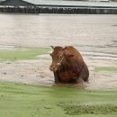 흥농종묘농약사 이미지
