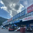 대구회수산 | 대구 매천수산시장 회 포장 후기, 멍게까지 사와서 집에서 제대로 즐긴 날
