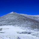 곰배령 - 춘천시 | 곰배령
