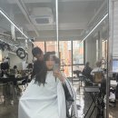 신논현역 미용실 :: 해피니언 강남역 미라클점 머리커트 후기