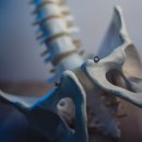 누가외과연합의원 이미지