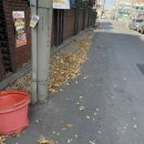광동성반점 - 달서구 당산로 124-1 | 광동성반점