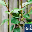 So one gym 이미지