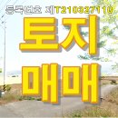 우리땅 공인중개사사무소 이미지