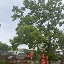 아콘트리 이미지