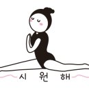 요가 오후반 이미지