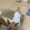 경아화장품 이미지
