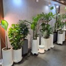 단아산부인과의원 이미지