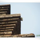 금동고철