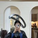 풀로진 이미지