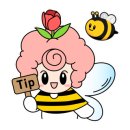 묵호항어판장 이미지