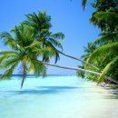 (주)다문화카페 우리 이미지