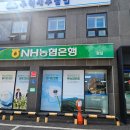 NH농협은행 다대포지점 | ​[잠실/송파] NH농협은행 잠실지점 동전 입금 솔직 후기! (시간, 방법 필수 체크)