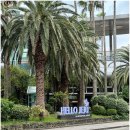 고향해장국 | 제주 외도 맛집 시원한 국물이 맛있는 내고향해장국