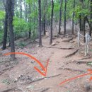 토월체육공원 이미지