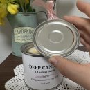 향기에 분위기를 담는 소이캔들 | [Deep Candle] 딥 캔들 빈티지 소이캔들ㅣ방 안을 꽃집으로! 감성 인테리어 실내방향제 후기