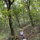등산후기_아이들과 등산하기 좋은 파주 광탄면 370m &lt;박달산&gt; 코스 소개