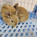 매산리 538 이미지