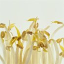 상쾌한병원 이미지