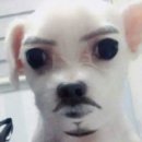 해진정 | 허겁지겁 얼렁뚱땅 블챌일상