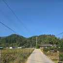 신흥1마을회관 | 소금길 1코스 (동해시 신흥마을회관 ~ 주막터)