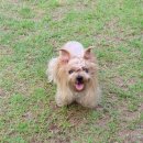 무프스 유치원 이미지