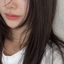 란샵I 네이버블로그
