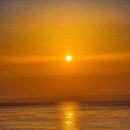 낭만자전거 이미지