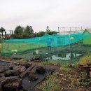 함덕초등학교선흘분교 이미지