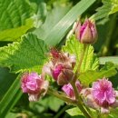 향기로부동산중개 이미지