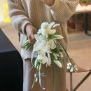 아화플레르 이미지