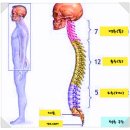 필라테스요가(1부) 이미지